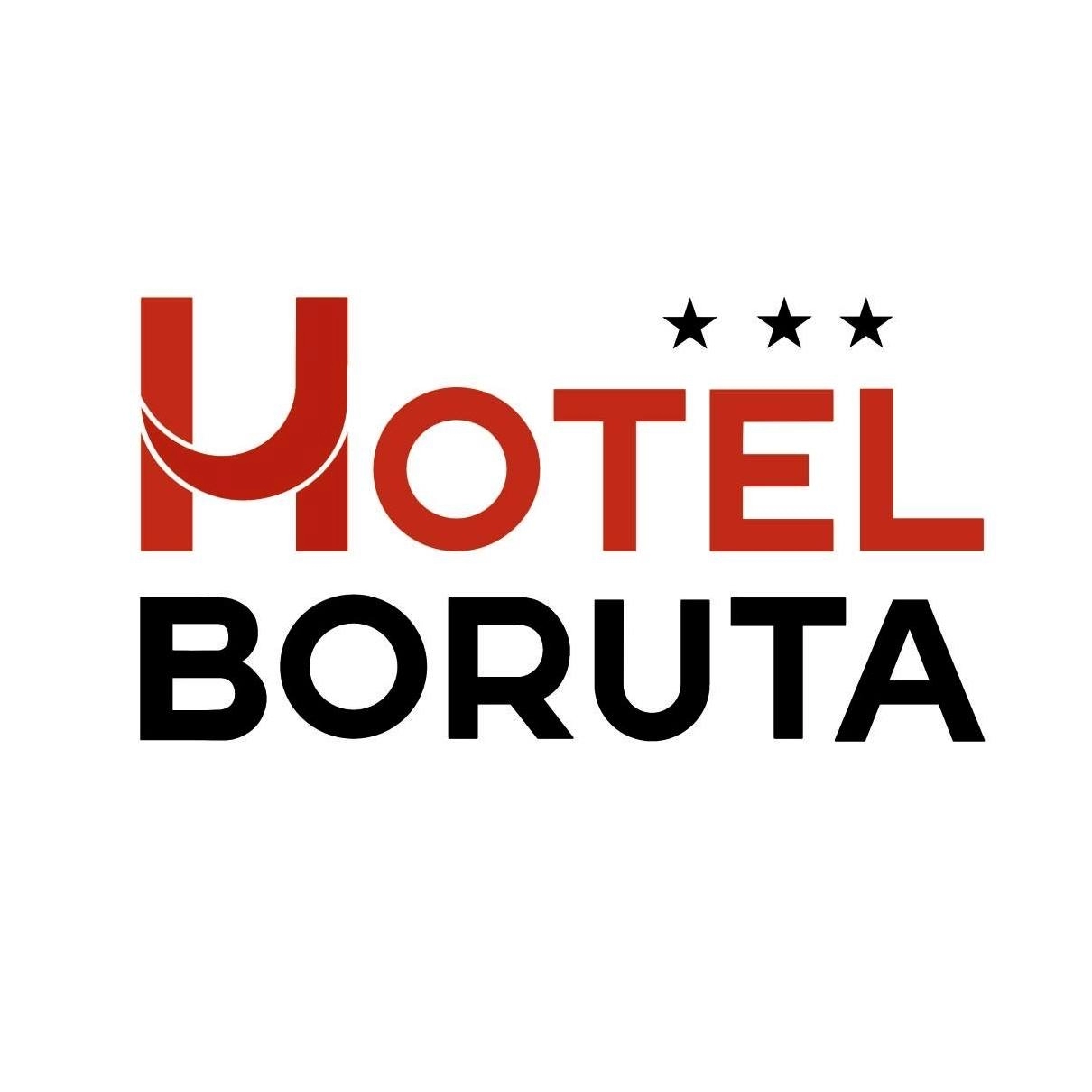 Logo Hotel Boruta***